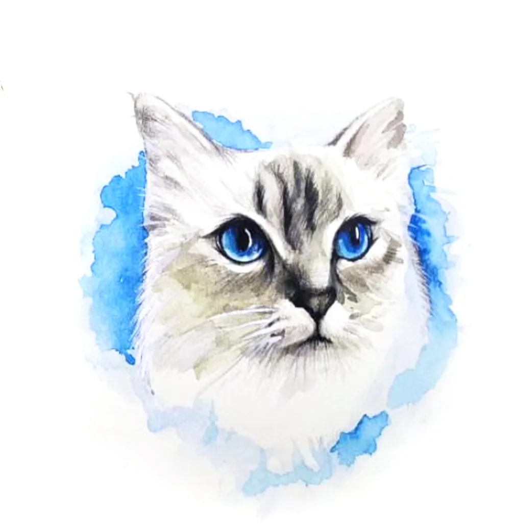 고양이 수채 손그림