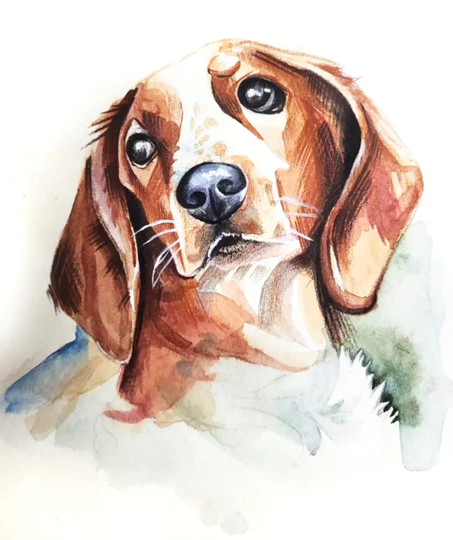 조효민의 강아지 수채 손그림